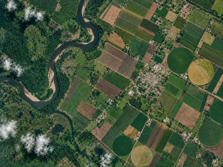 Monitoreo Satelital de Productividad y Salud de Cultivos
