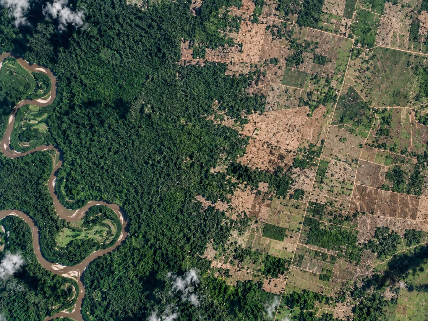 Monitoreo de Cobertura Vegetal y Deforestación