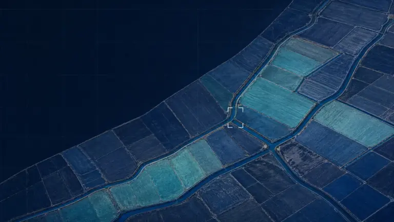 Diagnóstico Satelital de Distritos de Riego y Disponibilidad Hídrica