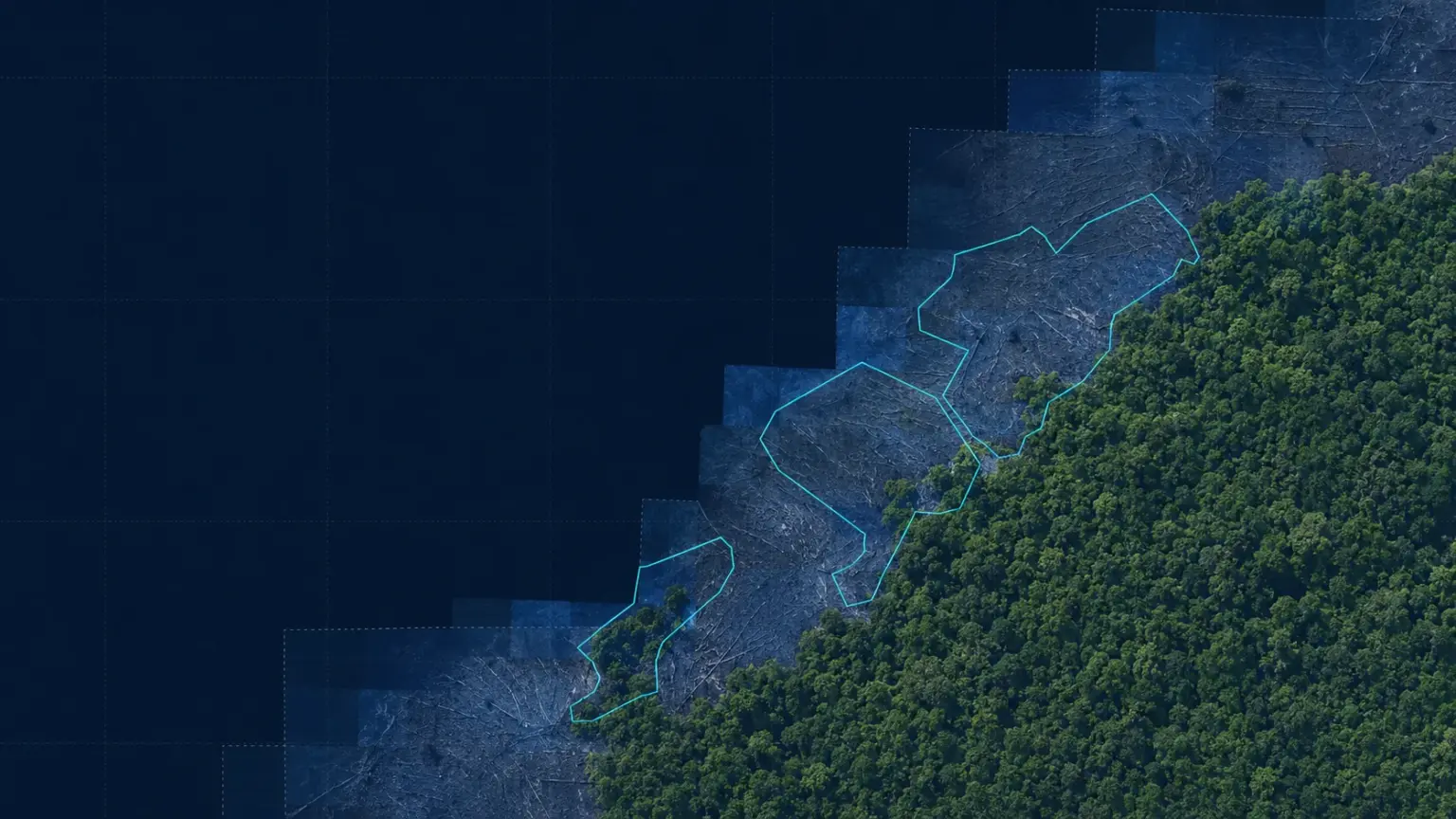 Monitoreo de Cobertura Vegetal y Deforestación